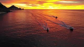 Whale Watching in Cabo San Lucas Mexico