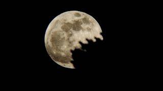 2015 Super Moon Lunar Eclipse in HD through a telescope