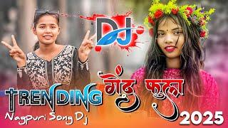 Theth Nagpuri Dj Song 2025 !! New Nagpuri Dj Remix Song !! Nagpuri Video Song ! Nagpur Dj Genda Full