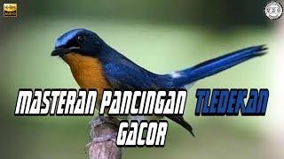 MASTERAN TLEDEKAN/SULINGAN GUNUNG GACOR||MANTAP