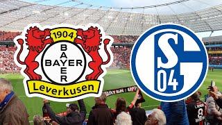 Bayer 04 Leverkusen - FC Schalke 04 [Saison 2022/2023] | Impressionen