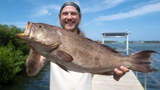 Make Lobster Rolls with this Fish