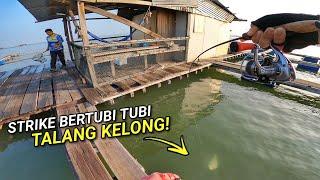 STRIKE BERTUBI TUBI Kelong YBT Pulau Aman!