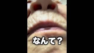 【神回】TikTokにアフレコしてツッコんでみたらヤバかったｗｗｗｗｗｗｗｗｗｗｗｗ【第98弾】　#shorts #ボケとツッコミ #爆笑 #tiktok