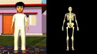 Science -- How different joints work in Human?   3D animation - English