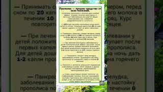 Прополис #полезныесоветы #советы #полезное #здоровье