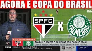 SÃO PAULO X PALMEIRAS TRICOLOR MUDA A CHAVE E JA PENSA NA COPA DO BRASIL 2023! NOTICIAS DO SPFC HOJE