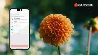 Irrigate your garden the smart way with GARDENA