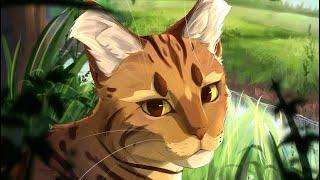 Top 20 Most Unique Looking Warrior Cats