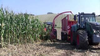 Pöttinger MEX 5 und JUMBO combiline im Maiseinsatz