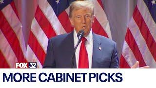 Trump makes more cabinet picks