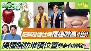 肥胖是慢性病 罹癌風險高4倍！周一斷食法2個半月瘦15公斤！梨型肥胖最難瘦！搞懂脂肪堆積位置 塑身有絕招！北歐飲食減重症夯！ 健康2.0 20220423 (完整版)