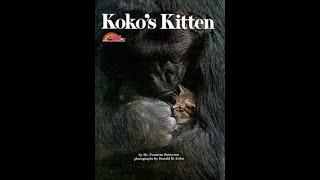 "Koko's Kitten" By Francine Patterson