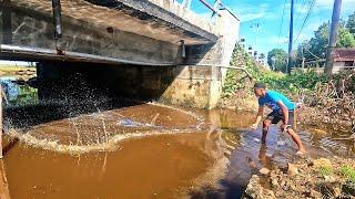 INITIALLY DOUBTED FISHING NETS WERE IN THIS PLACE, BUT IT TURNS OUT...‼️ fishing Nets video