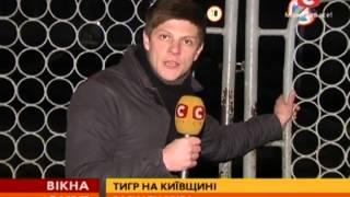 Жители Василькова не пустили в столицу подраздел «Тигр» - Вікна-новини - 04.12.2013