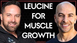 Muscle protein synthesis and the importance of leucine | Peter Attia & Layne Norton