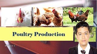 POULTRY 1 | Introduction to Poultry Production | Module 2