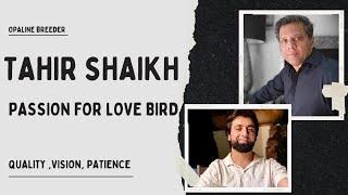 Passionate Love Bird Breeder- Mr. Tahir Shaikh