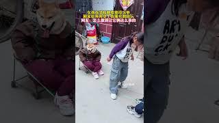 乐一乐：纯真的童年。两个狗狗伙伴。（241018.08）