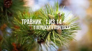 Травник - 01 аудиокнига
