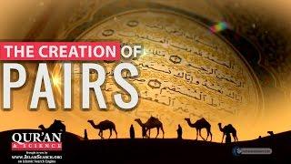 The Creation of Pairs ┇ Quran and Modern Science ┇ LearnQuran.net