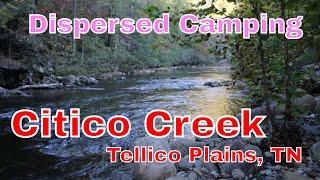 Citico Creek Dispersed Camping... Tellico Plains / Vonore TN // Boondocking // Dry Camping