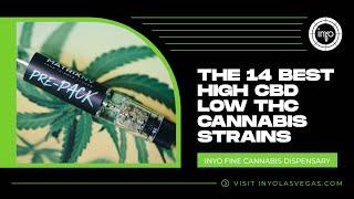 The 14 Best High CBD Low THC Cannabis Strains | Inyo