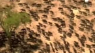 tudor kalahari,el desierto anegado Documental en español tudor