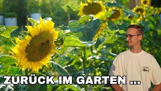 Ich war 5 Tage nicht im Garten ....