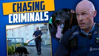 ON THE HUNT: Valiant Police Dog and Officer Chase Down Criminal!