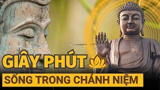 Thiền sư Thích Nhất Hạnh - An lạc, thảnh thơi là HOA TRÁI của sự tu tập này |Nhiệm Màu