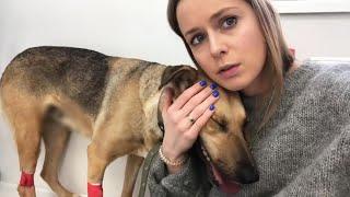 She just wanted to ask them for some food but the results she got were heartbreaking