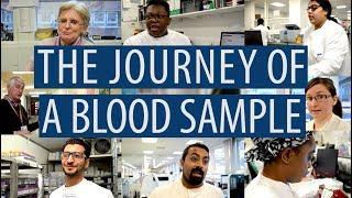 The journey of a blood sample #DiscoverPathology