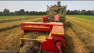 Young Farmer makes INSANE PREMIUM ALFALFA!!! (Baling Hay with NH 316)