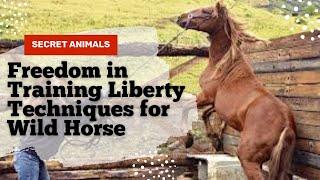 Freedom in Training Liberty Techniques for Wild Horse Communication @secret_animals