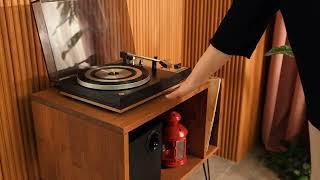 MCM Record Player Stand | Wooden Turntable Stand by Oshoom