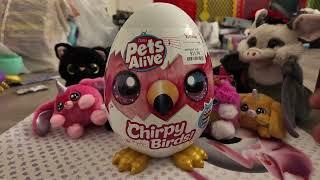 Batty Saves a Bird Egg(not real lol). Zuru Pets Alive Chirpy Birds Unboxing