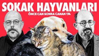 Sokak Hayvanları | Önce Can Sonra Canan | 174. Bölüm