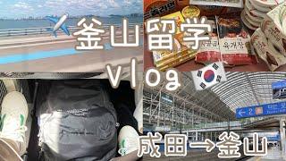 韓国留学Vlog#1| 韓国入国 | 成田〜釜山 | お迎えや隔離場所は？