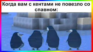 тик току не повезло | подборка мемов