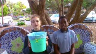 Sea bin project - Cleaning up our oceans