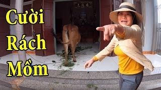 PHD | Dắt Bò Vào Nhà Troll Mẹ | Prank Mom