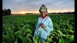 AGRIBUSINESS IN GHANA - HOW TO START RIGHT