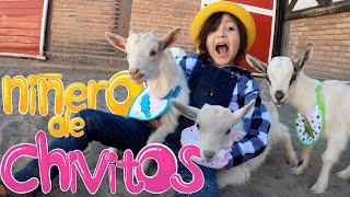 Soy NIÑERO de los Chivitos BEBÉS y los llevo a la ESCUELA