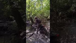 ENDURO REX