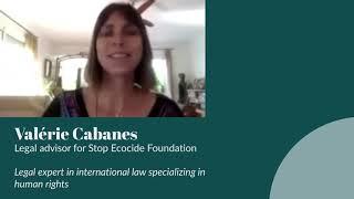 Valérie Cabanes on the proposed definition of Ecocide Law