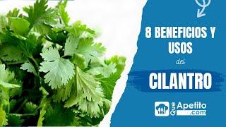 10 Beneficios y Usos del Cilantro  | QueApetito