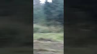Лесной монстр и Казах Мощная сила Вынужденный Off-Road