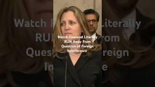 MUST WATCH Liberals Clearly Guilty #houseofcommons #chrystiafreeland #MCGA #short #shorts