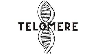 The Telomere.